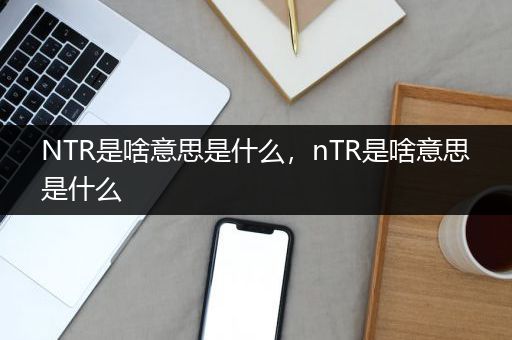 NTR是啥意思是什么，nTR是啥意思是什么